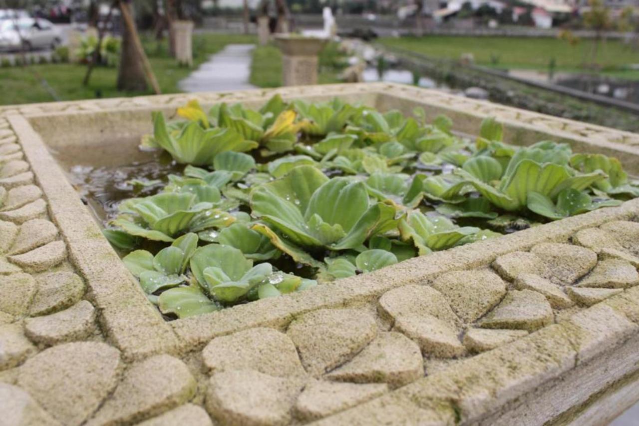 Aqua Star Villa Homestay Dongshan  Bagian luar foto